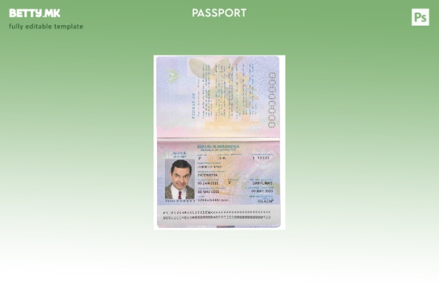 Шаблон за пасош на Индонезија во модерен стил